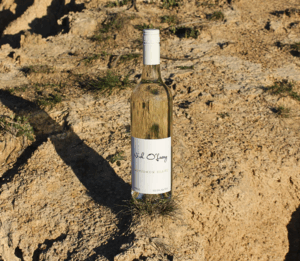 Nick Oleary Sauvignon Blanc